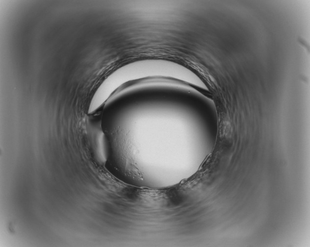 X0000096420521200802071706