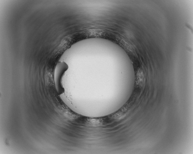 X0000096420522200802071705