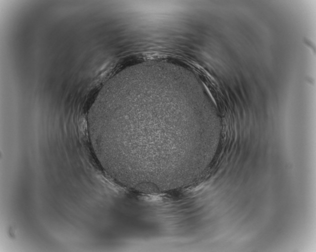 X0000096420523200802071705