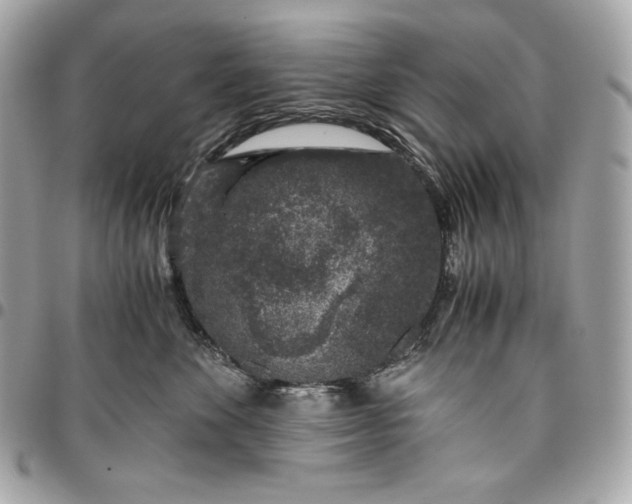 X0000096420524200802071705