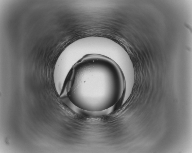 X0000096420525200802071705