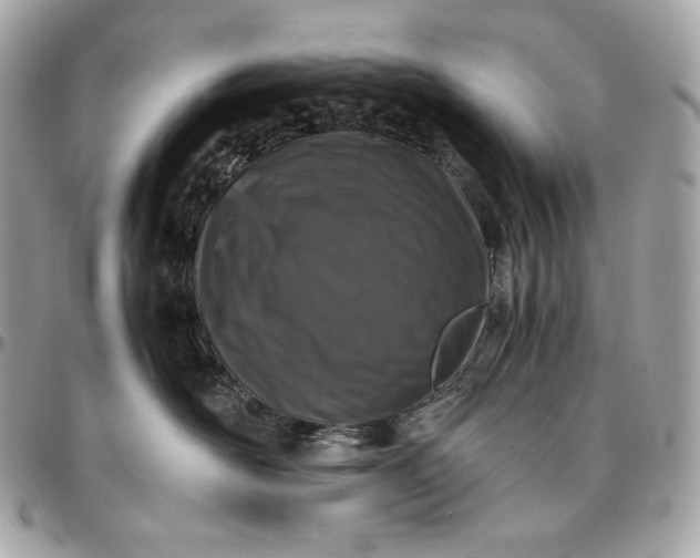 X0000096420526200802071705