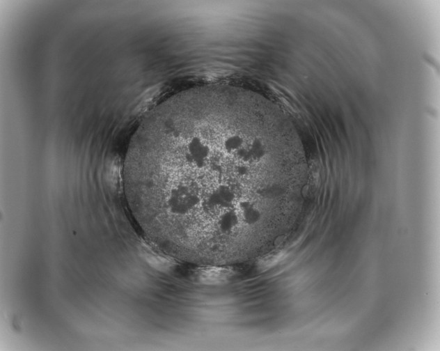 X0000096420527200802071705