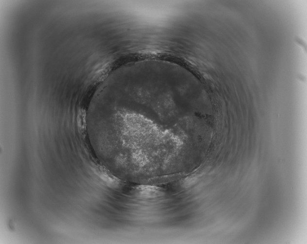 X0000096420528200802071705