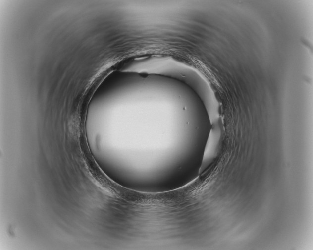 X0000096420530200802071705