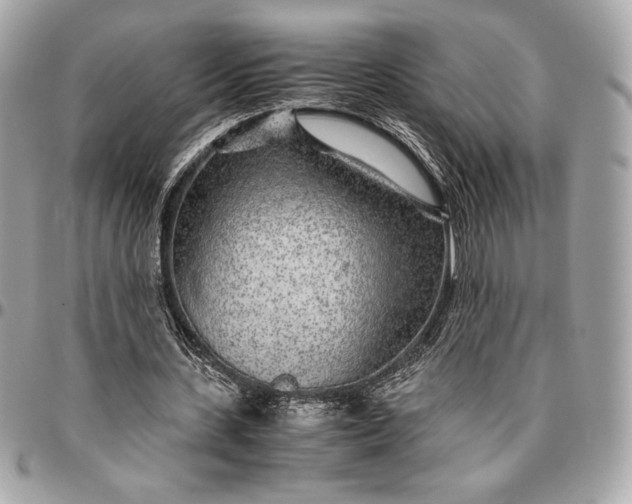 X0000096420531200802071705