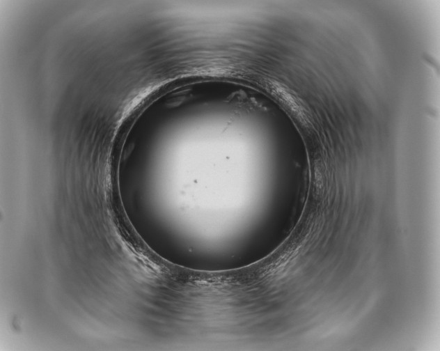 X0000096420532200802071705