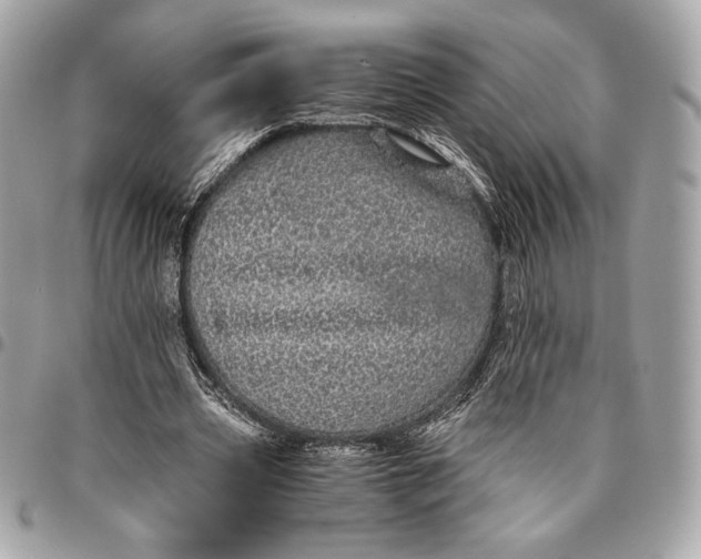 X0000096420533200802071705