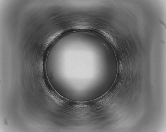 X0000096420535200802071705