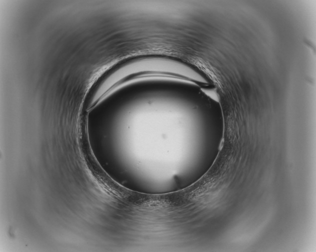 X0000096420536200802071705