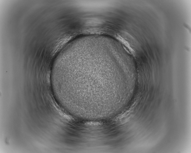 X0000096420537200802071705