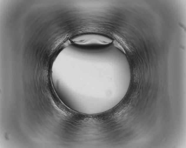 X0000096420538200802071705