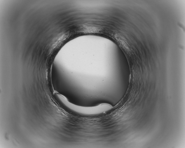 X0000096420539200802071705