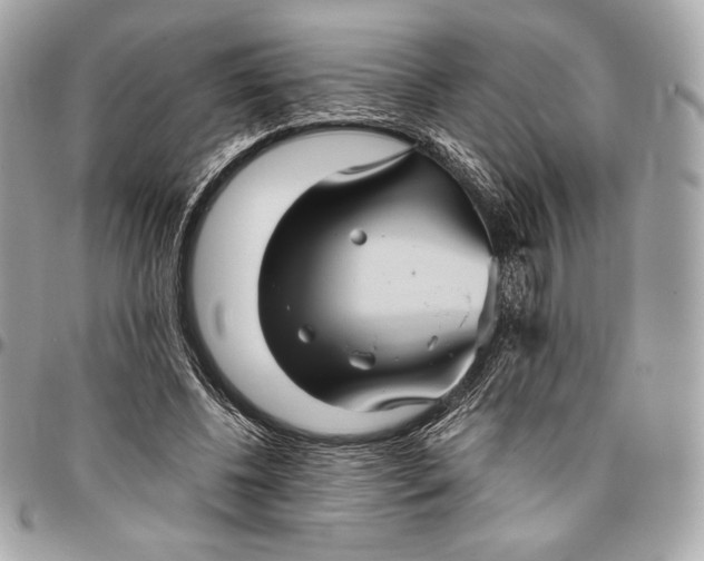 X0000096420540200802071705