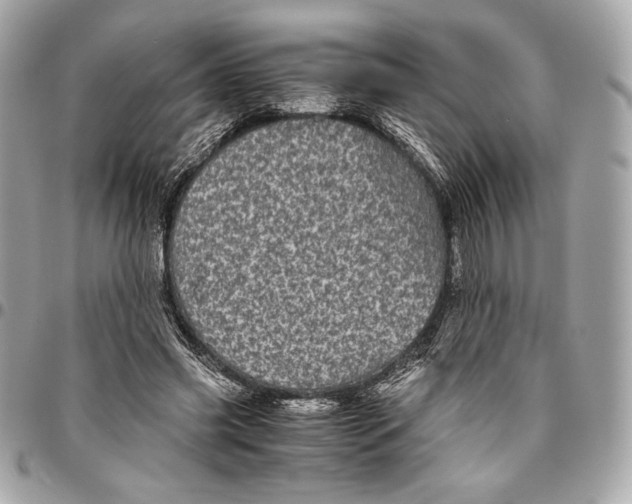 X0000096420541200802071705