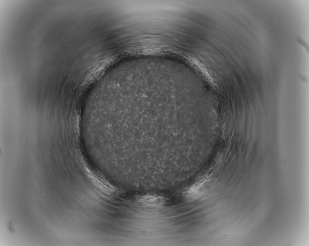 X0000096420542200802071705