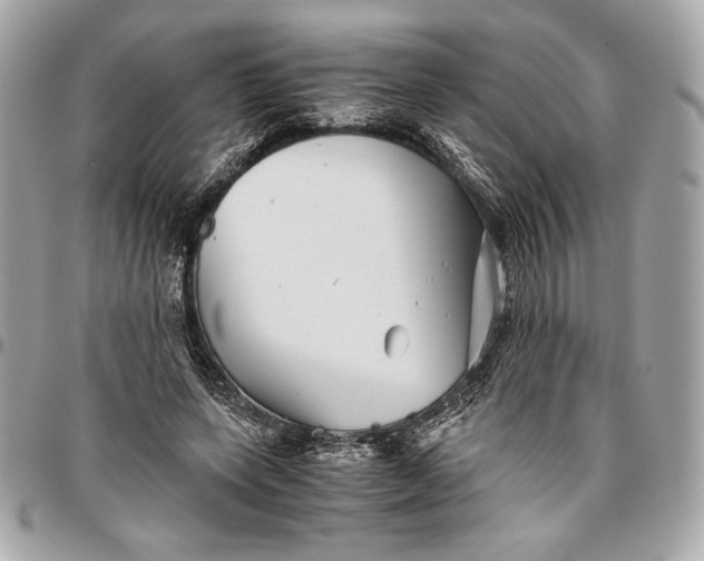 X0000096420543200802071705