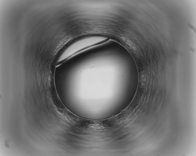 X0000096420544200802071705