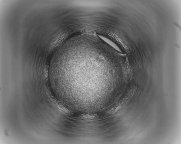 X0000096420545200802071705