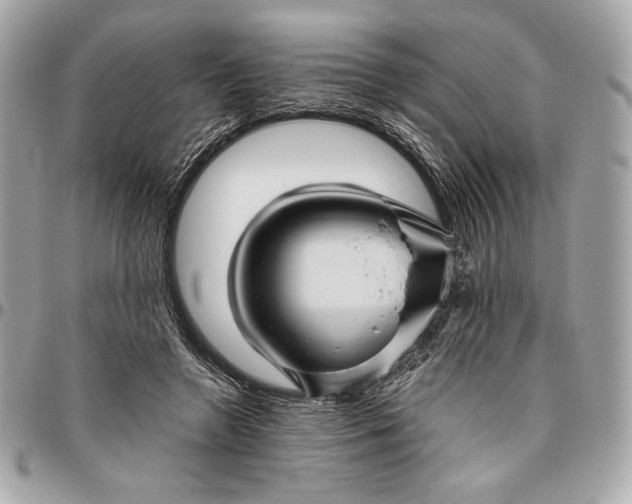 X0000096420546200802071705