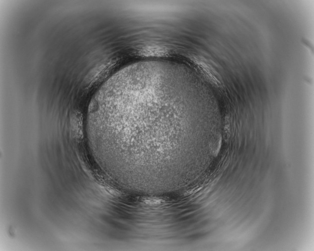 X0000096420547200802071705