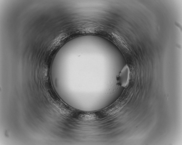 X0000096420548200802071705