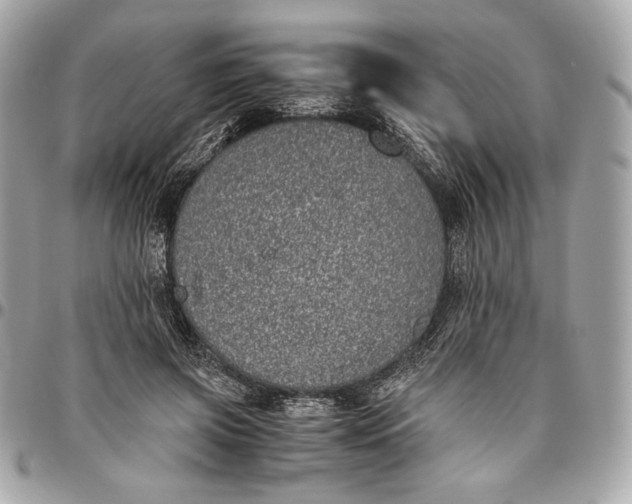 X0000096420549200802071705