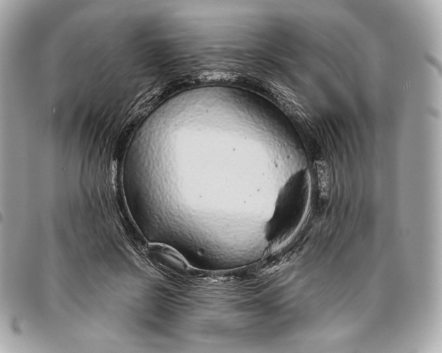 X0000096420550200802071705