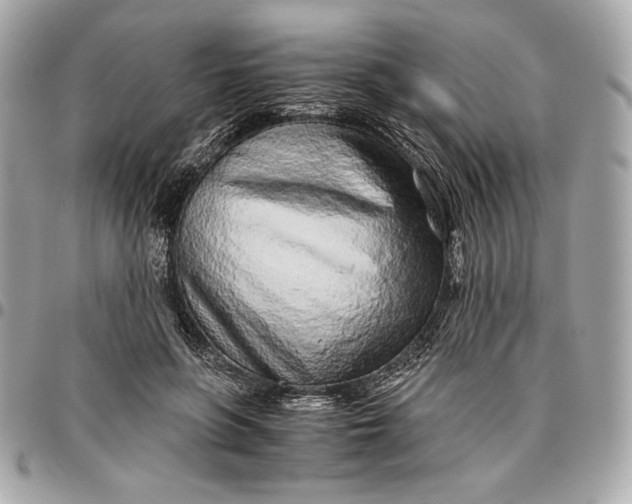 X0000096420551200802071705