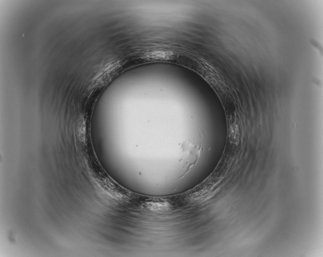 X0000096420552200802071705