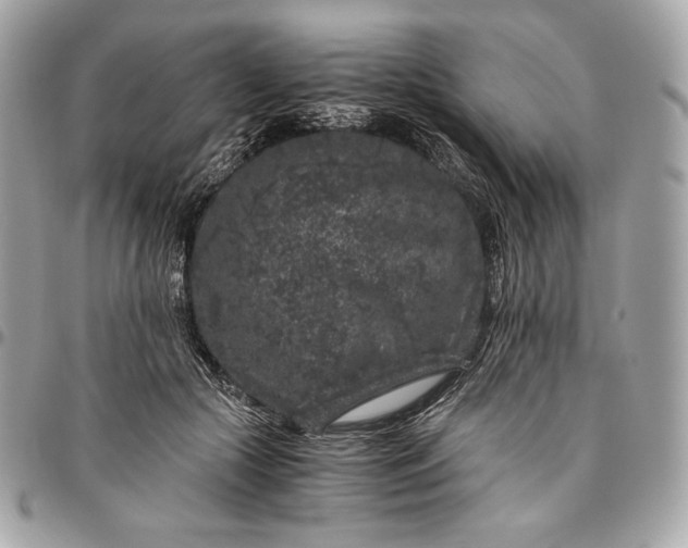 X0000096420553200802071705