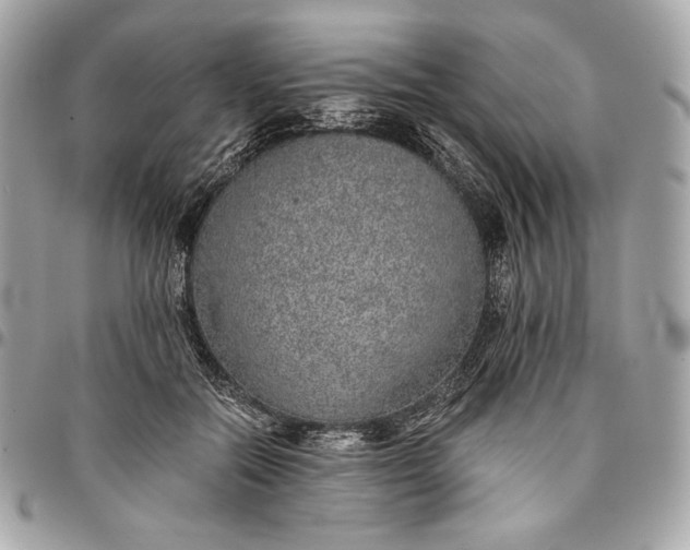 X0000096420554200802071705