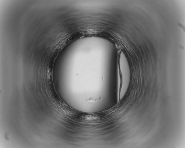 X0000096420555200802071705