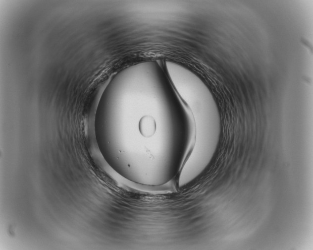 X0000096420556200802071705