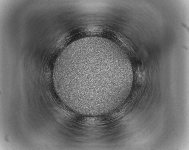 X0000096420557200802071705