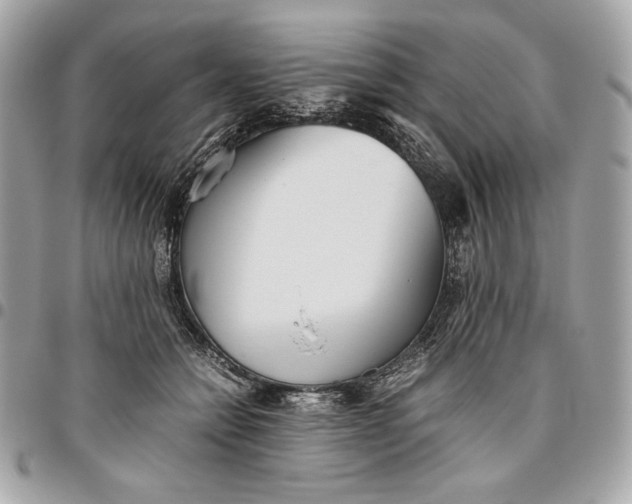 X0000096420558200802071705