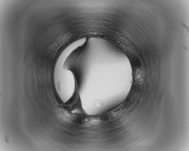 X0000096420559200802071705