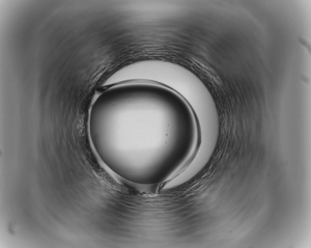 X0000096420560200802071705