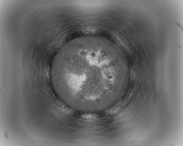 X0000096420561200802071705