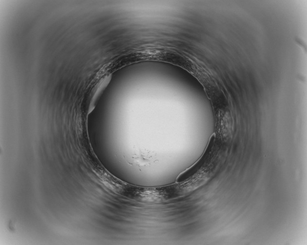 X0000096420562200802071705