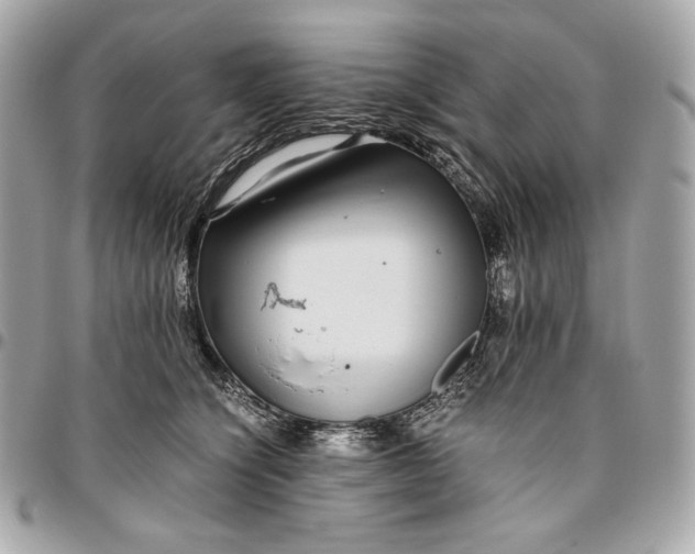 X0000096420564200802071705