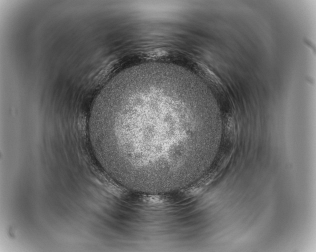 X0000096420565200802071705