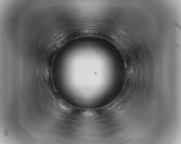 X0000096420566200802071705