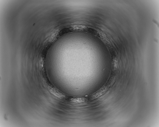 X0000096420567200802071705