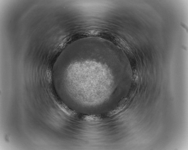 X0000096420568200802071705