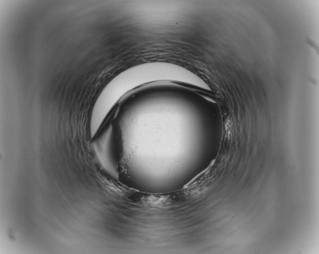 X0000096420570200802071705