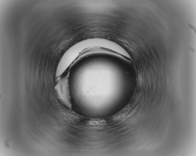 X0000096420571200802071705