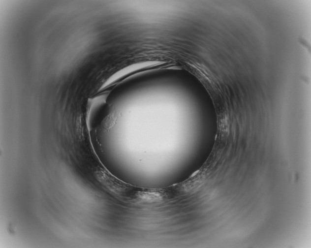 X0000096420572200802071705