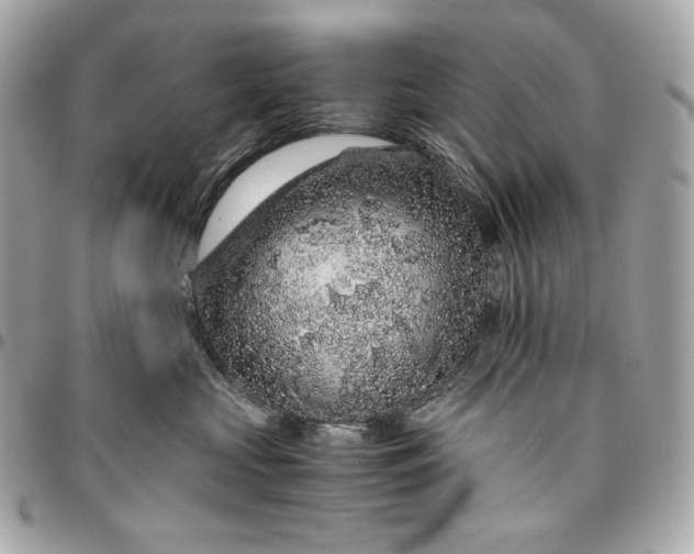 X0000096420573200802071705