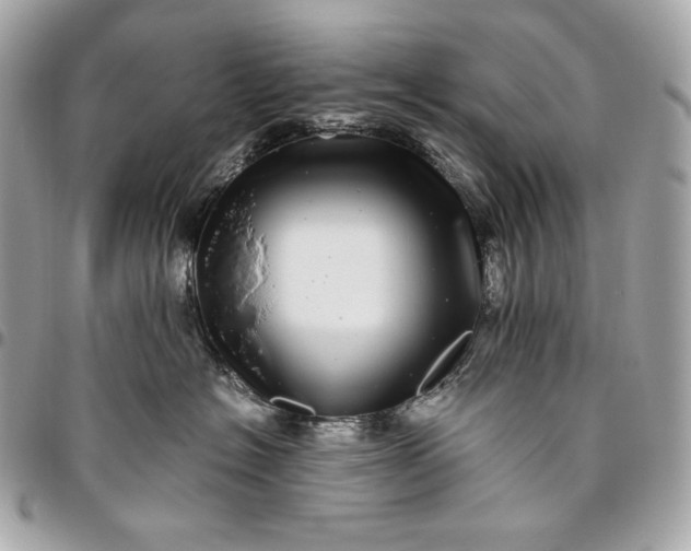 X0000096420574200802071705